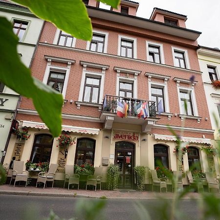 Avenida Park Hotel テプリツェ エクステリア 写真